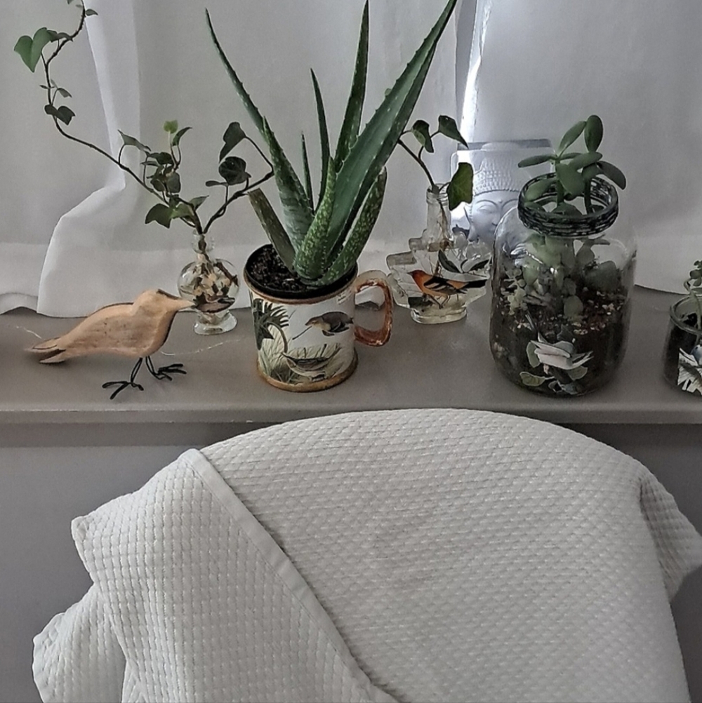 Saatva Throw Cotton Pale Gray Textured Cross Hatch Blanket NWOT